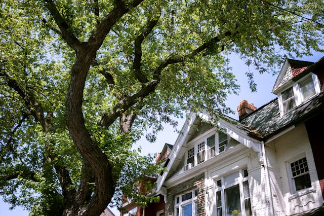House exterior in the summer
