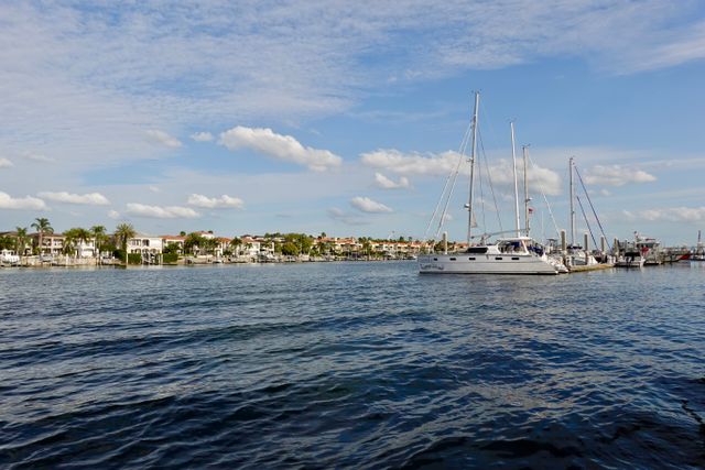 sailboats docked at a harbor in tampa