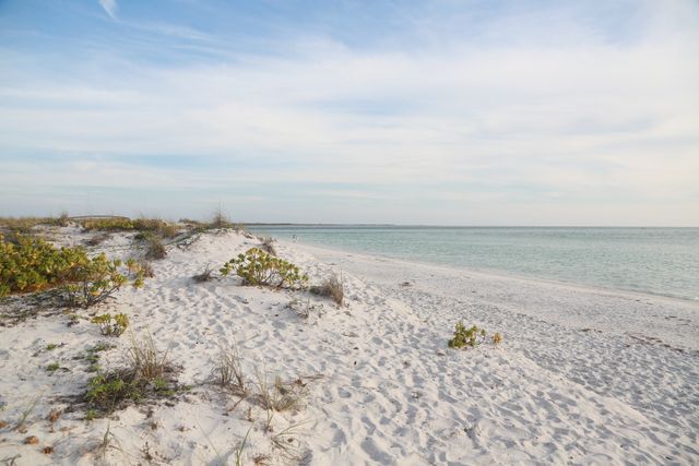 white sand beach in florida