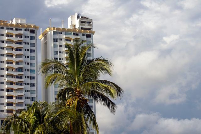 high rise buildings behind palm trees
